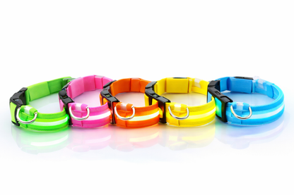 LED Safety Collar for Pets